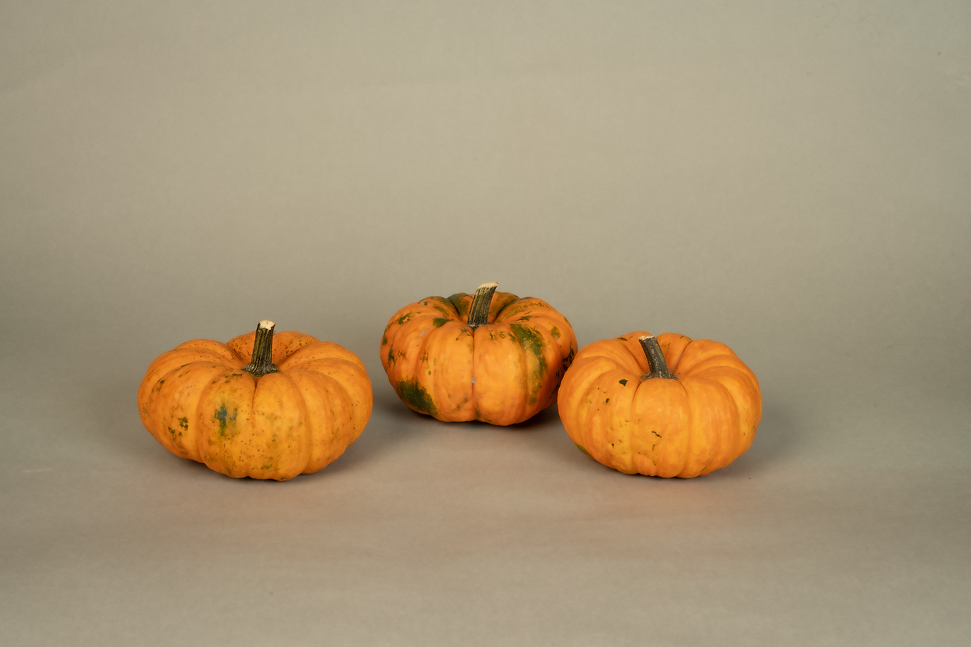 Zen.nl, Zen, meditatie, leren mediteren, foto